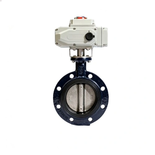 Electric Cast Iron Flanged Butterfly Valve