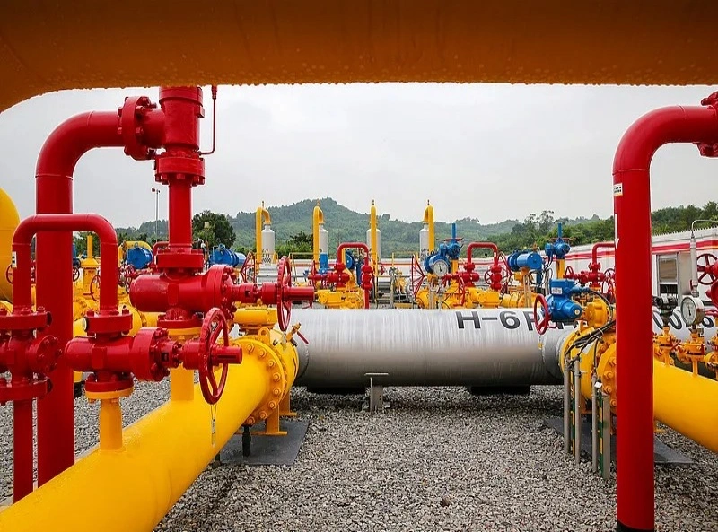 valves for Petrochemical system