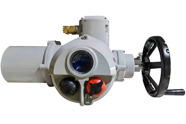 Globe Control Valves